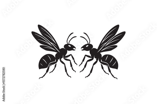 Ant Run Back Two Wings twin Vector silhouette on white background.01
