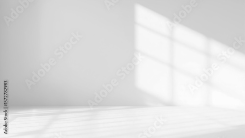 Natural Sunlight Shadow Effect on Transparent Background PNG
