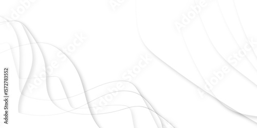 White background abstract design. have space for text creative. gray and white abstract background wavy modern vector illustration. soft wooden curve abstract modern style white background.