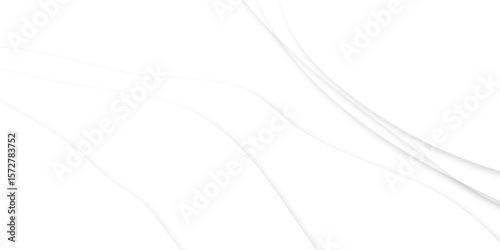 White background abstract design. have space for text creative. gray and white abstract background wavy modern vector illustration. soft wooden curve abstract modern style white background.