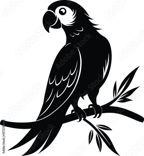 parrot on branch vector high quality black silhouette