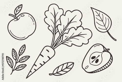 Fresh apples, pears, and carrots from the garden harvest