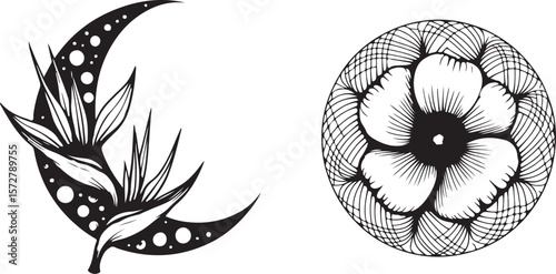 Mystical Witchy Celestial Vector Pack