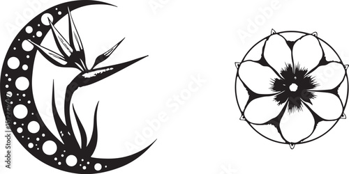 Mystical Witchy Celestial Vector Pack