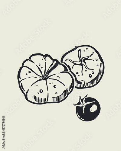 Italian cuisine and sea inspired illustrations with pasta, seafood, wine, lemons, shells, herbs in doodle cartoon vector style, Mediterranean kitchen wall art prints in la dolce vita style.