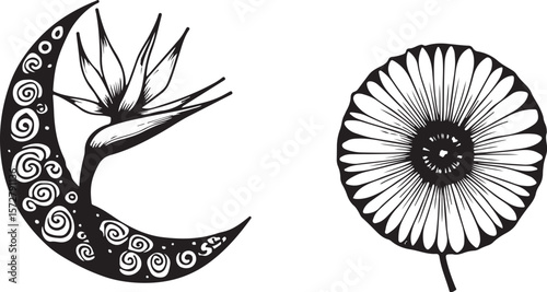 Mystical Witchy Celestial Vector Pack