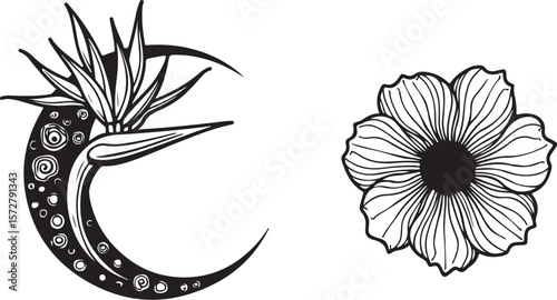 Mystical Witchy Celestial Vector Pack