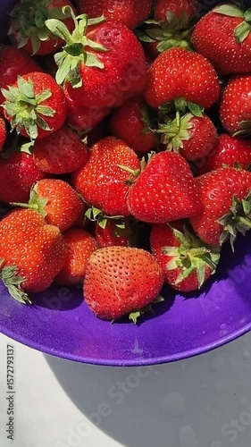 A bowl full with strawberry. Summer vibes. Healthy and organic food.