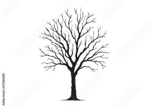 dry tree logo silhouette vector, dry tree logo icon, black dry tree silhouette vector illustration, old tree silhouette logo vector, winter trees logo silhouettes vector on a white background 