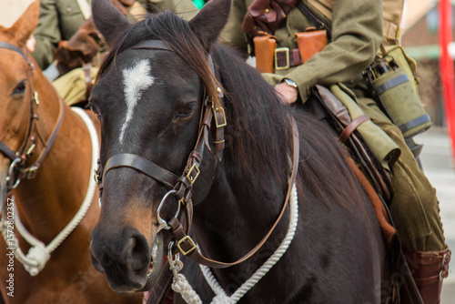 Soldiers riding horses in the ANZAC Day parade