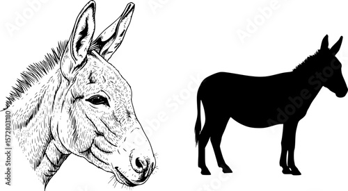 Illustration showing a donkey face and a donkey silhouette in black and white color scheme design editable vector