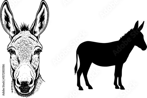 Illustration showing a donkey face and a donkey silhouette in black and white color scheme design editable vector