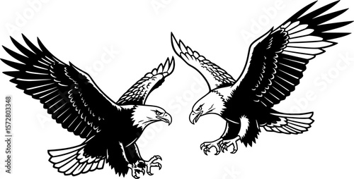 Two eagles in flight depicted in black and white with one in silhouette and one with detail showing feathers editable vector