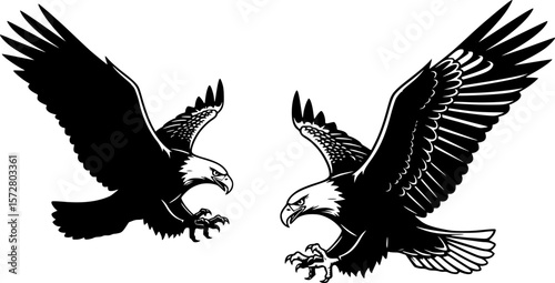 Two eagles in flight depicted in black and white with one in silhouette and one with detail showing feathers editable vector
