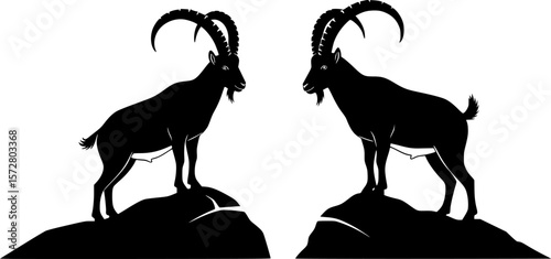 Two ibex silhouettes one standing on a rock the other on the ground in a black and white illustration editable vector