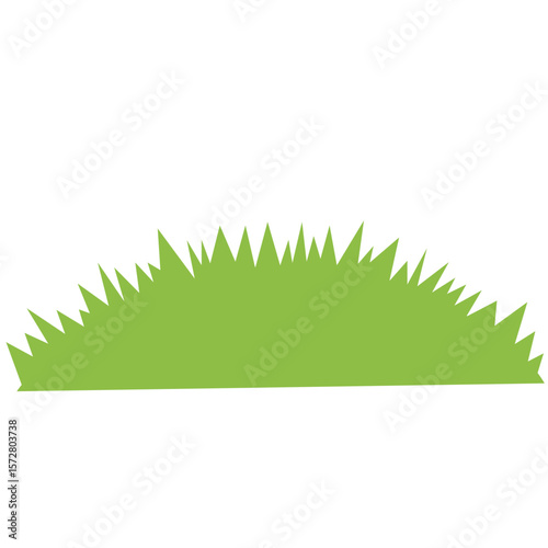 Vibrant green grass symbolizing the freshness and vitality of nature.