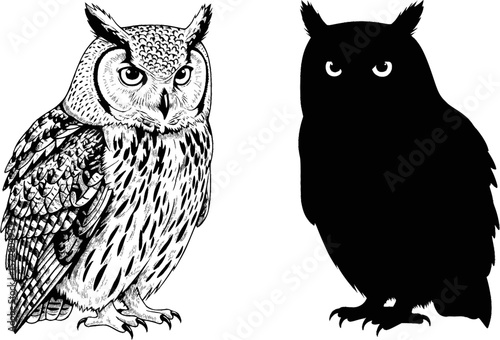 Two owls depicted in black and white one with detailed feathers and one in solid silhouette design editable vector