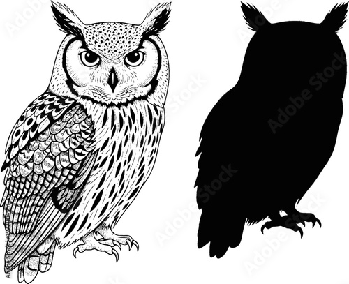 Two owls depicted in black and white one with detailed feathers and one in solid silhouette design editable vector