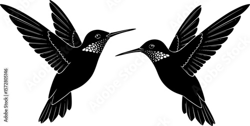 Two black hummingbird silhouettes in flight against a white background with detailed wing patterns editable vector