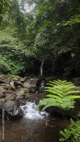 A small waterfall flows gently through mossy rocks and lush tropical forest, surrounded by vibrant greenery and peaceful natural ambiance deep in the jungle.