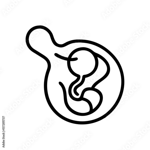 Minimalist placenta icon design for medical projects and healthcare education