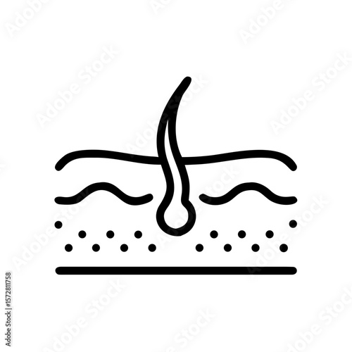 Anatomical diagram of human skin with hair follicle and sebaceous gland for educational use