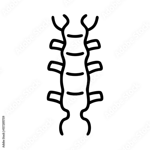 Minimalist spine diagram illustrating human anatomy