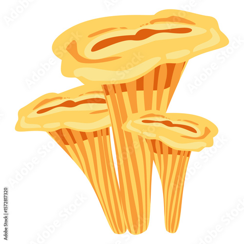Vector drawing of chanterelle mushrooms in golden yellow tones. Ideal for recipe designs, foraging books, autumn cooking, and nature or forest-themed educational projects.