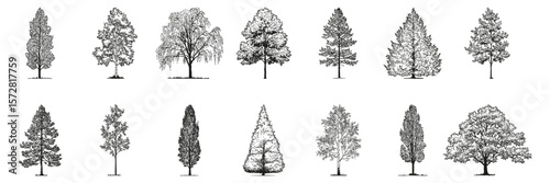 Monochrome Tree Sketch Side View Set. Environmental Planning And Architectural Design Collection. Isolated Vector Illustration