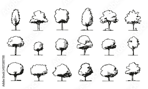 Black Ink Sketch Tree Collection. Landscape Architecture and Design Elements. Botanical and Natural Planning Use. Isolated Vector Illustration