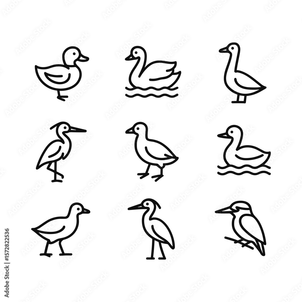 Fototapeta premium Duck swan pond icons collection. Outline symbols. Line design