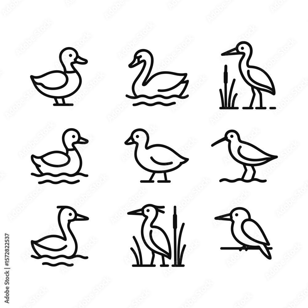 Obraz premium Aquatic bird pond icon collection. Outline symbols. Line design