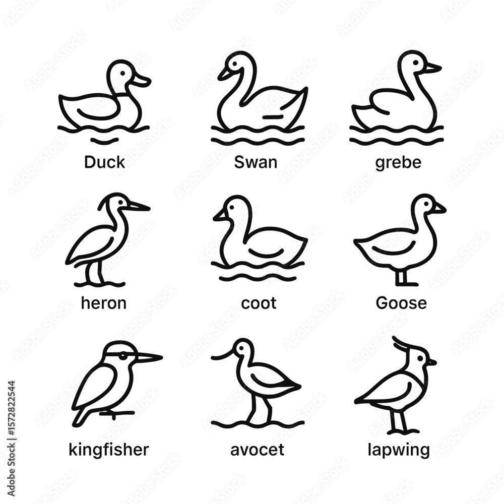 Obraz premium Lake bird wildlife icons. Outline symbols. Line design