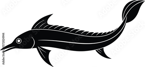 vector illustration of a fish
