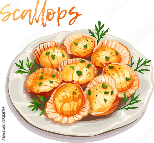 Cartoon vector illustration of scallops on a white plate icon isolated on white background. Seafood scallops plump and seared, with a golden brown crust design. A sprig of fresh parsley 
