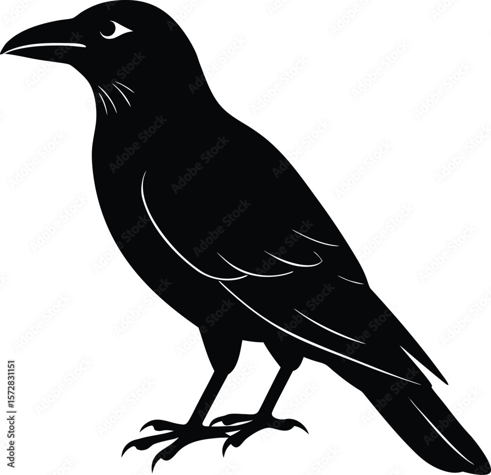 Fototapeta premium vector illustration of a bird