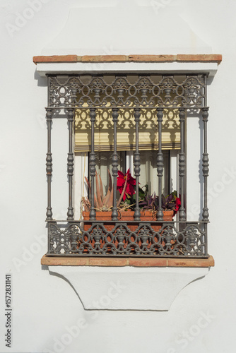 Fototapet traditional window