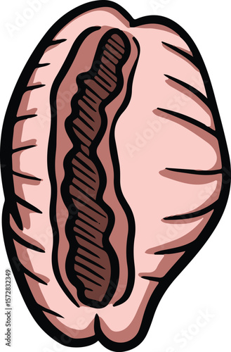Hand drawn clipart illustration of seashell shell mollusc seaside shellfish 