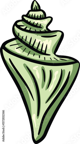 Hand drawn clipart illustration of seashell shell mollusc seaside shellfish 