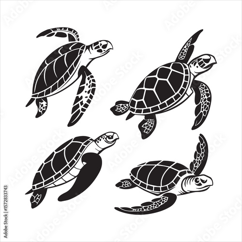 turtle sea icon silhouette vector