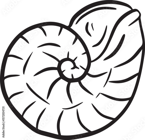Hand drawn clipart illustration of seashell shell mollusc seaside shellfish 
