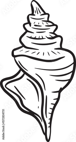 Hand drawn clipart illustration of seashell shell mollusc seaside shellfish 