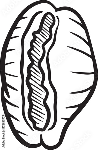 Hand drawn clipart illustration of seashell shell mollusc seaside shellfish 