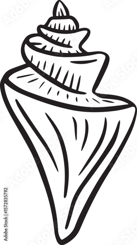 Hand drawn clipart illustration of seashell shell mollusc seaside shellfish 