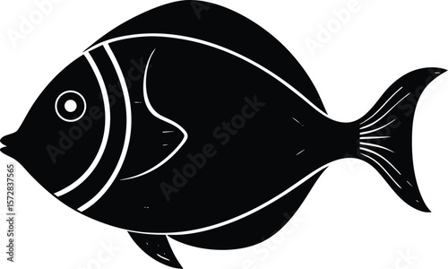 vector illustration of a fish