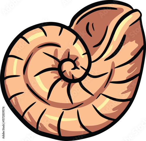 Hand drawn clipart illustration of seashell shell mollusc seaside shellfish 