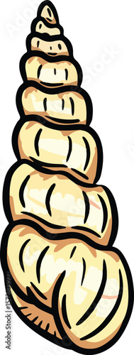 Hand drawn clipart illustration of seashell shell mollusc seaside shellfish 