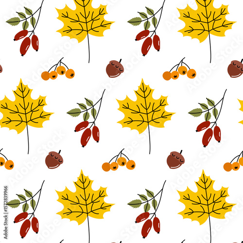 Colorful autumn leaves and berries in a cheerful pattern showing the beauty of nature during fall