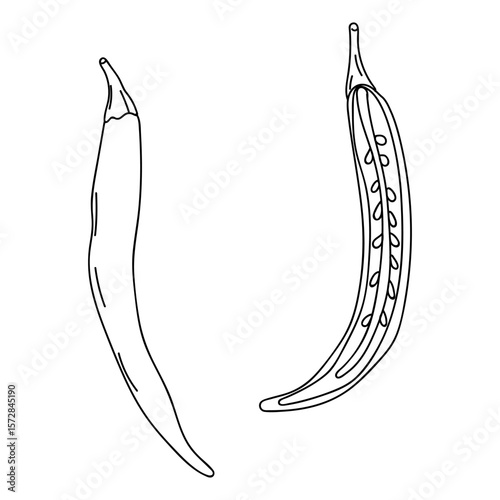 chili peppers displayed side by side on a white background highlighting their unique shapes and textures