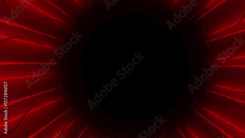 colorful neon line loop animation for backdrop